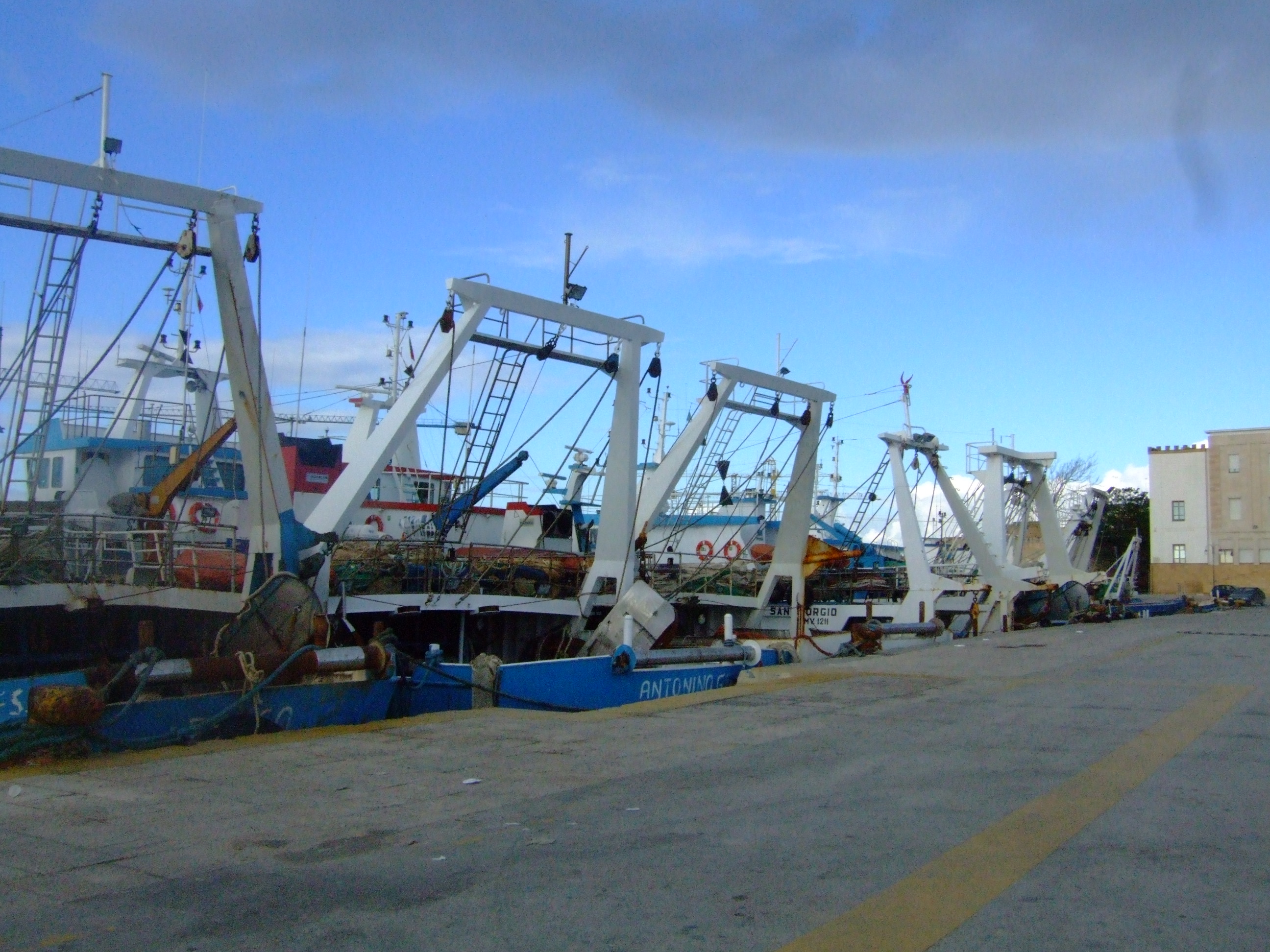 dscf2804.jpg