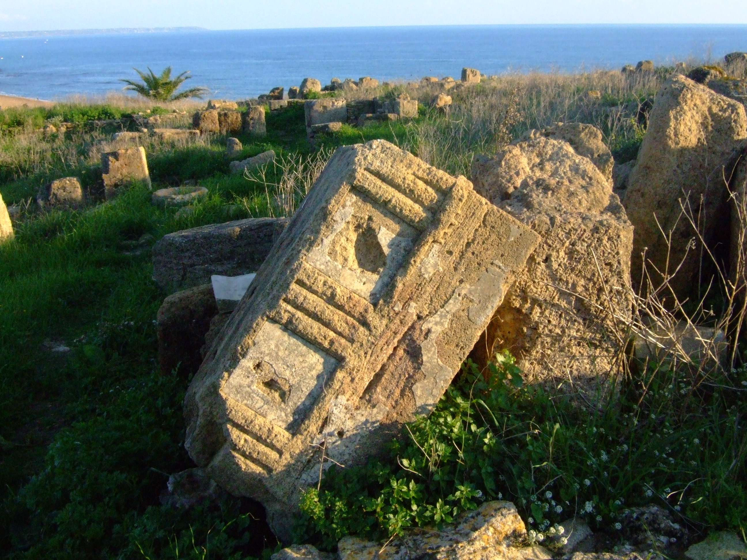 dscf3749.jpg